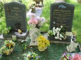 image of grave number 492650